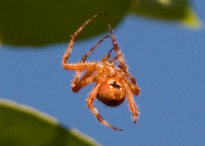 4964646077_d0396c43c7_z.jpg